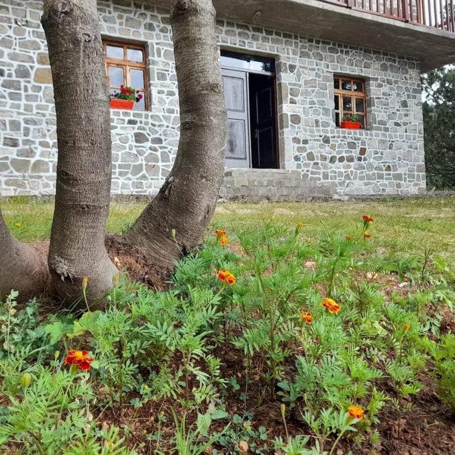 Hotel Grabova Grabove e Siperme Экстерьер фото